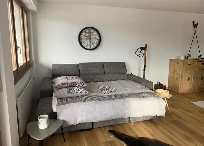 La Jacinthe De Apartment *