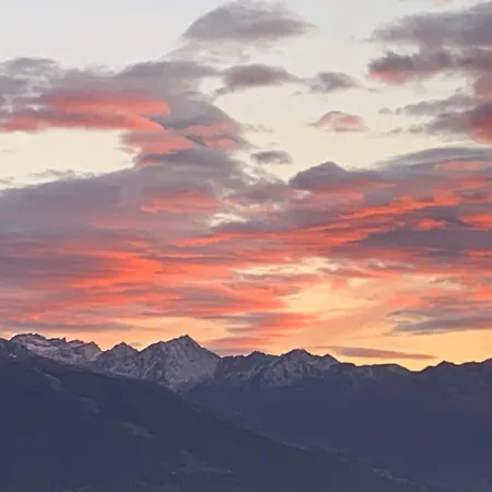 La Jacinthe De Apartamento *