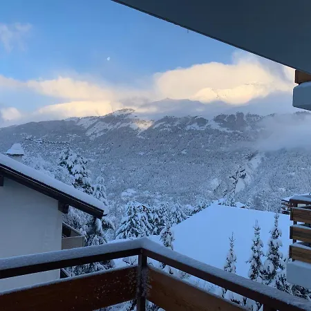 La Jacinthe De Apartamento